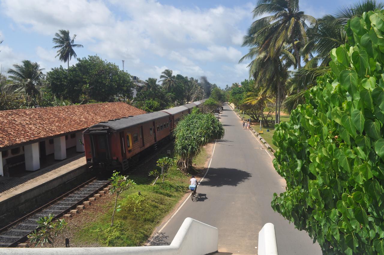Bentota Orchid House Bed & Breakfast Dış mekan fotoğraf