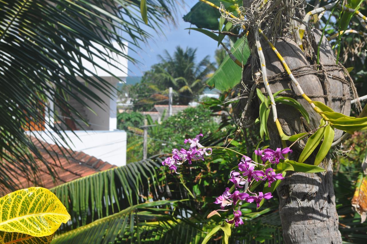 Bentota Orchid House Bed & Breakfast Dış mekan fotoğraf