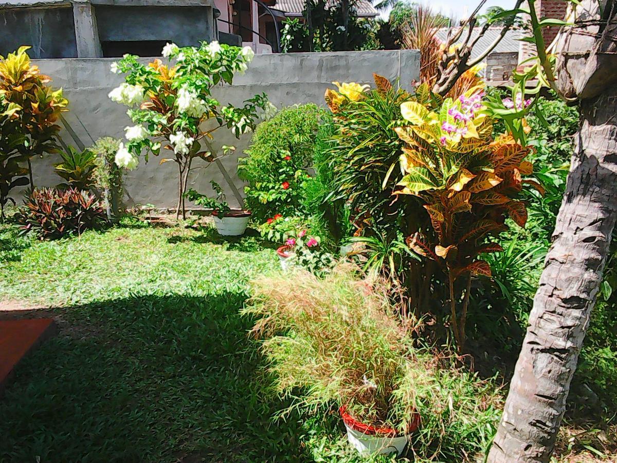 Bentota Orchid House Bed & Breakfast Dış mekan fotoğraf
