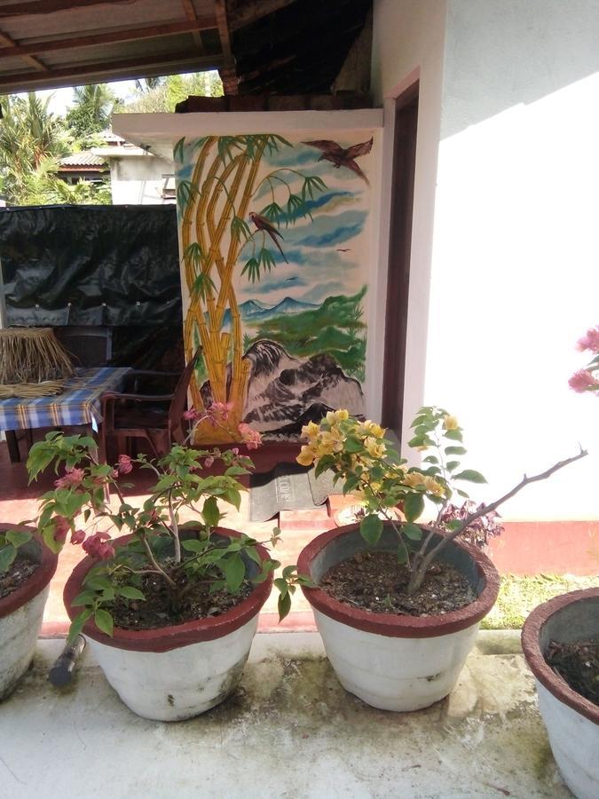 Bentota Orchid House Bed & Breakfast Dış mekan fotoğraf